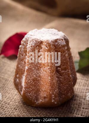 pandoro, torta di Natale tradizionale italiana Foto Stock