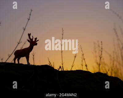 swamp capriolo giocattolo animale al tramonto nero silhouette sfondo foresta Foto Stock