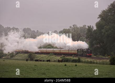 Royal Scot fuori dalla nebbia sulla 'English Riviera Express' Foto Stock
