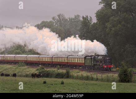 Royal Scot fuori dalla nebbia sulla 'English Riviera Express' Foto Stock