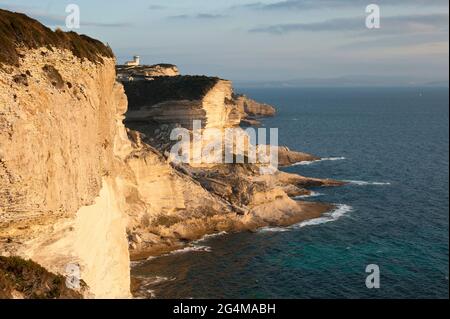 FRANCIA (2 A). CORSICA, CORSICA DEL SUD, CORSICA DEL SUD. BONIFACIO E LA SUA CITTADELLA, COSTRUITA NEL 830. IL VILLAGGIO SI TROVA SULLE SCOGLIERE CALCAREE. Foto Stock