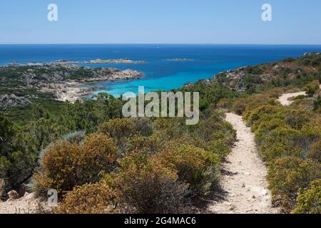 FRANCIA (2 A). CORSICA, CORSE DU SUD, TREKKING, ESCURSIONI. PERCORSO NELLA RISERVA NATURALE BRUZZI. Foto Stock