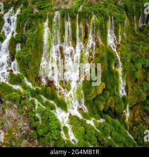 Sulle famose Thousand Springs nella Snake River Valley dell'Idaho Foto Stock