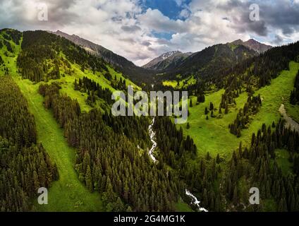 Vista aerea della valle di montagna con lussureggiante foresta. Foto scattata con il drone Foto Stock