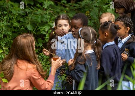 La Duchessa di Cambridge offre ai bambini del miele da provare durante la sua visita al Museo di Storia Naturale, nel centro di Londra. Data immagine: Martedì 22 giugno 2021. Foto Stock