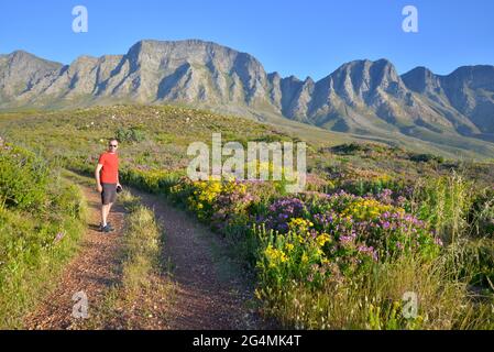 Sud Africa Foto Stock