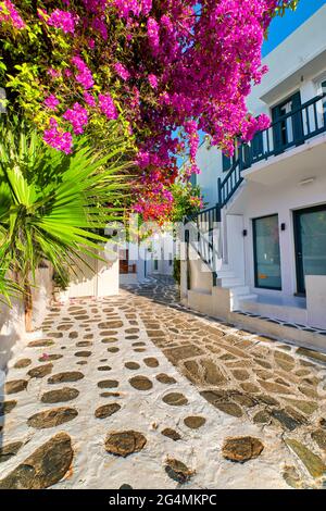 Bella strada tradizionale nella città dell'isola greca. Case bianche, bougainvillea in fiore, verde, ciottoli. Mykonos, Grecia, scatto verticale Foto Stock