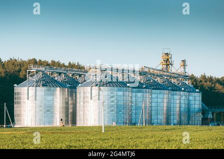 Visualizza il Granaio moderno, il complesso di essiccazione del grano, il grano commerciale o i silos di semi nel paesaggio rurale di Sunny Spring. Silos per l'essiccatore del mais, terminale per la granella interna Foto Stock