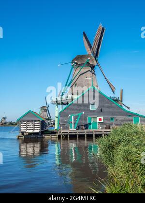 Lo storico mulino a vento classico chiamato De Kat (il gatto) a Zaan Schans, Paesi Bassi Foto Stock