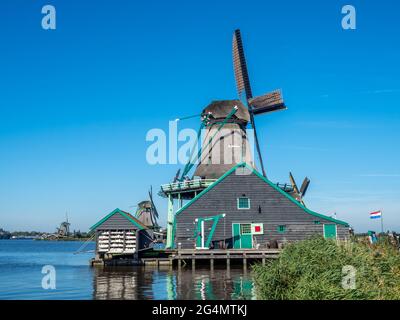 Lo storico mulino a vento classico chiamato De Kat (il gatto) a Zaan Schans, Paesi Bassi Foto Stock