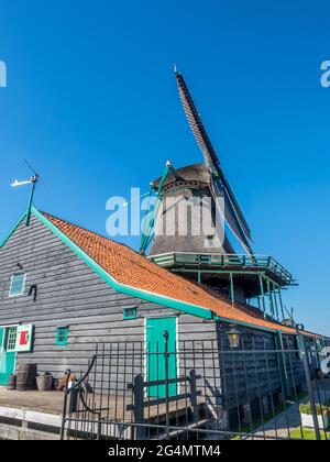 Lo storico mulino a vento classico chiamato De Kat (il gatto) a Zaan Schans, Paesi Bassi Foto Stock