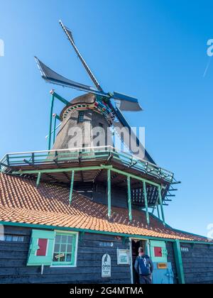 Lo storico mulino a vento classico chiamato De Kat (il gatto) a Zaan Schans, Paesi Bassi Foto Stock