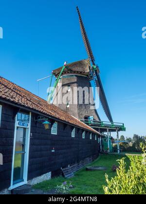 Lo storico mulino a vento classico chiamato De Zoeker (il Seeker) a Zaan Schans, Paesi Bassi Foto Stock