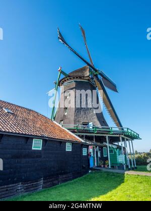 Lo storico mulino a vento classico chiamato De Zoeker (il Seeker) a Zaan Schans, Paesi Bassi Foto Stock