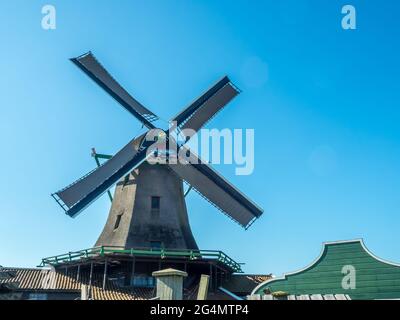 Lo storico mulino a vento classico chiamato De Zoeker (il Seeker) a Zaan Schans, Paesi Bassi Foto Stock