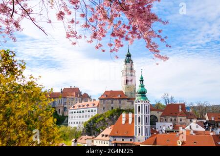 Vista panoramica di Cesky Krumlov e albero rosa fiorito in primo piano Foto Stock