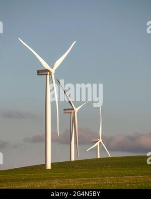 Energia rinnovabile....turbine eoliche su una collina al tramonto, vicino Caledon, Capo Occidentale, Sud Africa Foto Stock