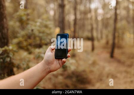 Persona non riconoscibile tagliata che tiene il telefono cellulare mentre si guarda l'applicazione bussola nel mezzo di una foresta Foto Stock