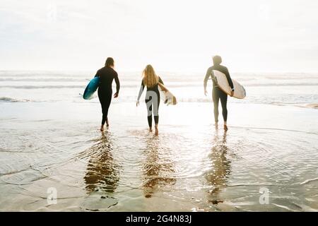 Vista posteriore di un gruppo irriconoscibile di amici surfisti vestiti con mute che camminano con tavole da surf verso l'acqua per catturare un'onda sulla spiaggia durante Foto Stock