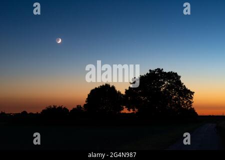 Luna di Crescent su alberi al crepuscolo serale Foto Stock