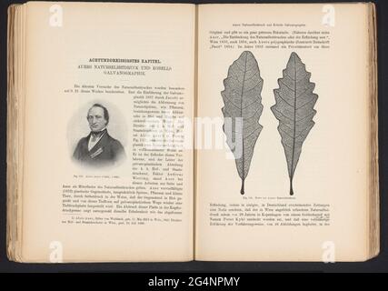 Produzione fotografica di un disegno, raffigurante un ritratto di Alois Auer; Aloïs Auer (* 1813, +1869). . Foto Stock