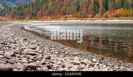 Lago calmo con acqua bassa - pietre rotonde a riva visibile, alberi di conifere di colore autunnale sull'altro lato Foto Stock