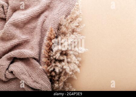 Pampas reed con tessuto a maglia caldo beige su fondo di carta da artigianato beige. Sfondo beige con spazio di copia e fiore di pampas di canna soffici. Foto Stock