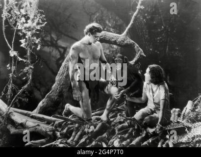 Johnny Weissmuller, Maureen o'Sullivan, 'Tarzan and His Mate' (1934) MGM / riferimento file n. 34145-304THA Foto Stock