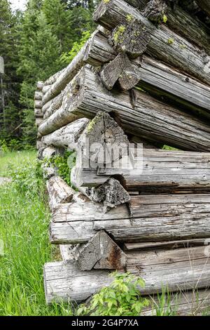 L'angolo che mostra i tronchi accatastati di una vecchia capanna di tronchi in rovine situato vicino a Athol, Idaho. Foto Stock