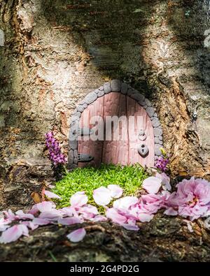 Porta fiaba piccola fatta di argilla in un tronco di albero con petali rosa. Foto Stock