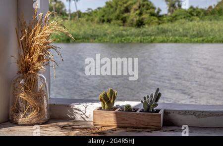 Angolo rilassante accanto al fiume con l'orecchio secco di riso in un vaso di vetro e cactus piccolo in pentola di piante di legno a scopo di decorazione su vecchio tavolo di legno Foto Stock