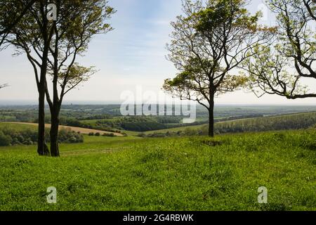 Vista a sud da Chanctonbury Hill sul South Downs vicino a Worthing, West Sussex, Inghilterra Foto Stock