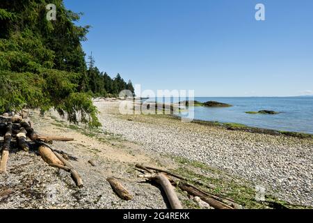 Splendida costa a Gibsons, British Columbia, Canada, sulla Sunshine Coast. Foto Stock