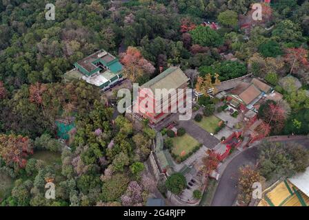 Parco Yuexiu a guangzhou, provincia di guangdong, paesaggio fiorito kapok Foto Stock