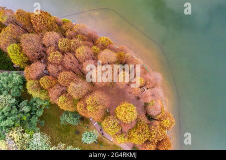 Il parco luhu nel quartiere yuexiu di guangzhou nella provincia di guangdong Foto Stock