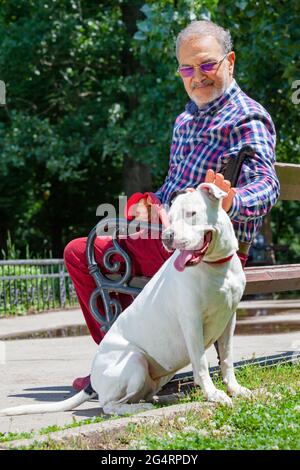 Un uomo ebreo anziano e casual negli anni settanta seduto su una panchina nel parco sta accarezzando un terrier bianco in primavera o in estate. Foto Stock