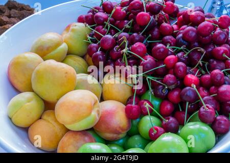 un piatto pieno di prugne, albicocche e ciliegie coltivate organicamente nel nostro giardino Foto Stock