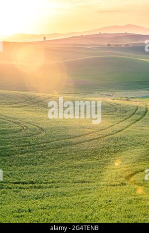 Paesaggio Countyside con luce solare dorata sui campi di grano e le fattorie dal Palouse Washington state USA Foto Stock