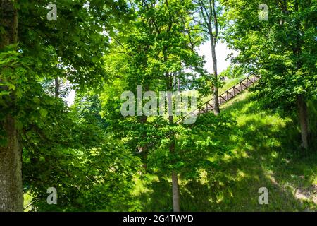 Scale di legno alla cima del tumulo Foto Stock