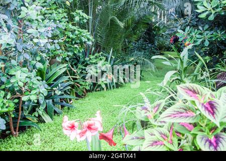 Piante all'interno di una serra storica a Chateau Lednice nella Moravia meridionale, Repubblica Ceca Foto Stock