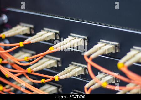 Rete via cavo, cavo in fibra ottica collegato alla porta switch nella sala server, gestione di rete concettuale Foto Stock