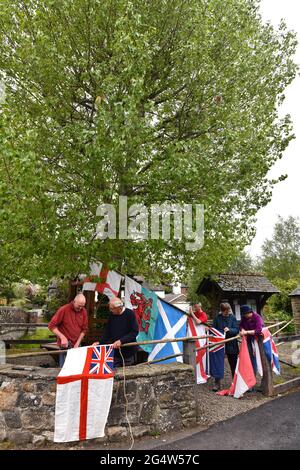 Residenti del villaggio di Aston on on Clun Shropshire meridionale che prepara il famoso albero dei Pioppi neri per il giorno di Arbor. Questo pioppo conosciuto come l'albero di Arbor b Foto Stock