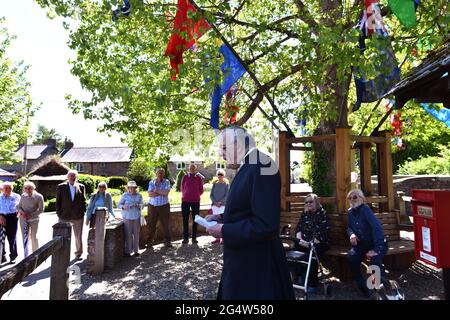 Aston on on Clun, Shropshire, Regno Unito. I residenti del villaggio di Aston, nello Shropshire meridionale, su Clun, si siedono sotto il famoso albero dei Pioppi neri il giorno di Arbor. 20 Foto Stock