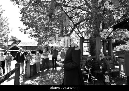 Aston on on Clun, Shropshire, Regno Unito. I residenti del villaggio di Aston, nello Shropshire meridionale, su Clun, si siedono sotto il famoso albero dei Pioppi neri il giorno di Arbor. 20 Foto Stock