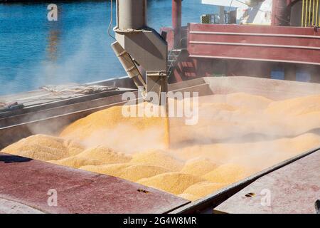 Granoturco nella stiva del portarinfuse. Fissaggio del pezzo fuso del mais. I carichi con gru a sollevamento spediscono il portarinfuse con mais Foto Stock