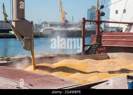 Granoturco nella stiva del portarinfuse. Fissaggio del pezzo fuso del mais. I carichi con gru a sollevamento spediscono il portarinfuse con mais Foto Stock