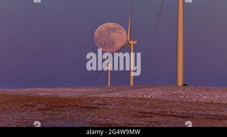 Luna piena che sorge dietro mulini a vento multipli sulle pianure orientali del Colorado Foto Stock