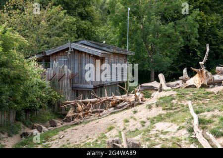 Ebeltoft, Danimarca - 21 luglio 2020: Vecchia capanna in legno circondata da alberi in gallo Foto Stock