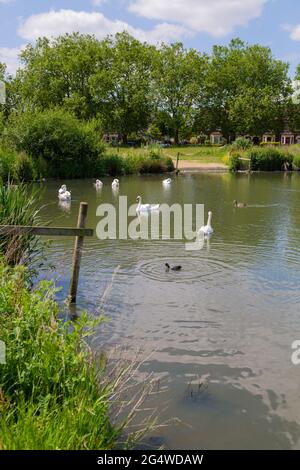 Stagno di Giubileo, appartamenti di Wanstead, parco, cancello di foresta, E7, Londra, regno unito Foto Stock