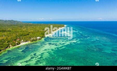 Bella spiaggia e mare blu in Anda resort, Filippine. Concetto di vacanza. Spiaggia tropicale. Foto Stock